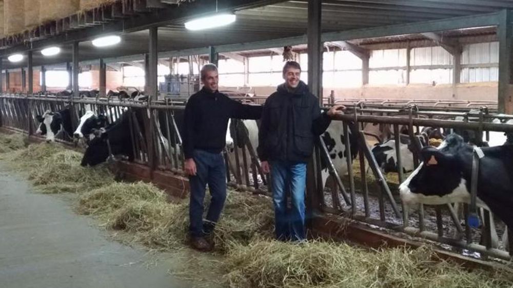 L’élevage familial des frères Vallin a été désigné à tort par Greenpeace comme une « ferme usine ». © FDSEA